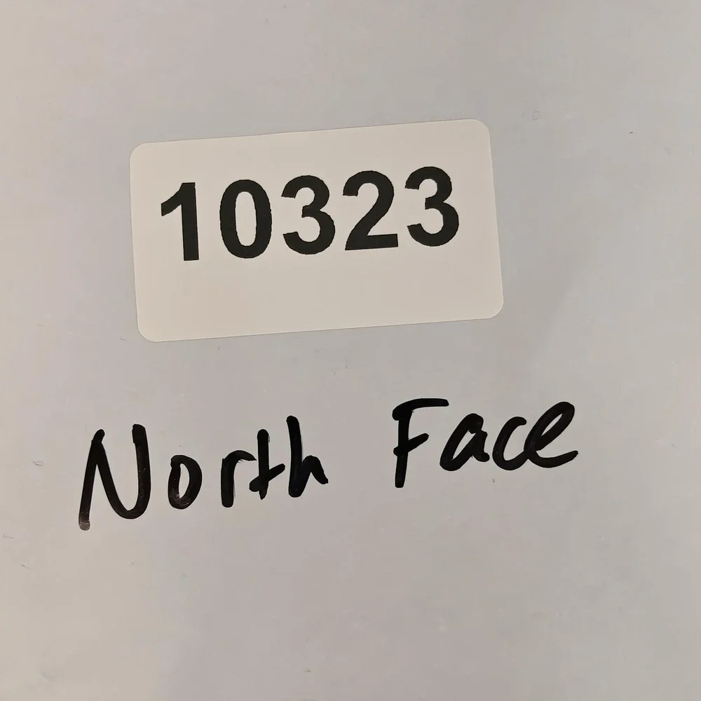 The North Face north face